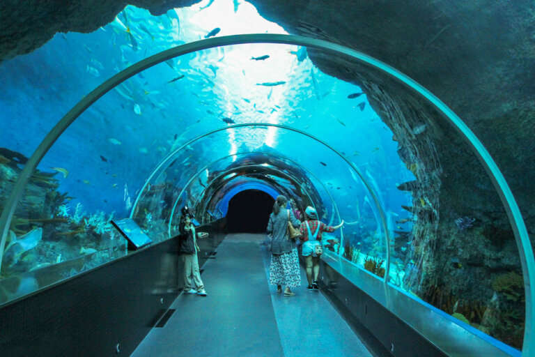 Aquarium