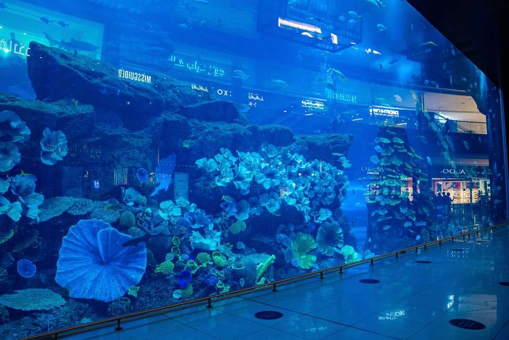 Aquarium