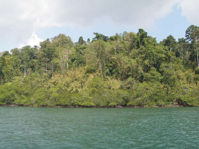 Baratang Island