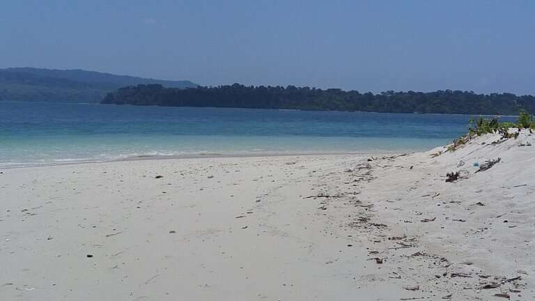 Jolly Buoy Island - Coral & Glass-Bottom Boats