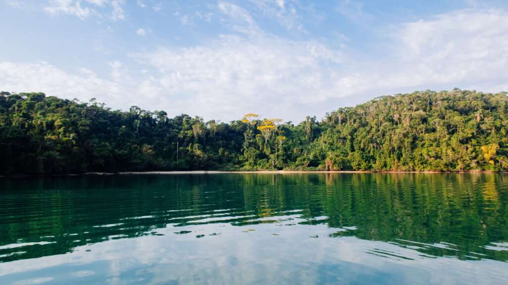 Campbell Bay National Park (Great Nicobar)