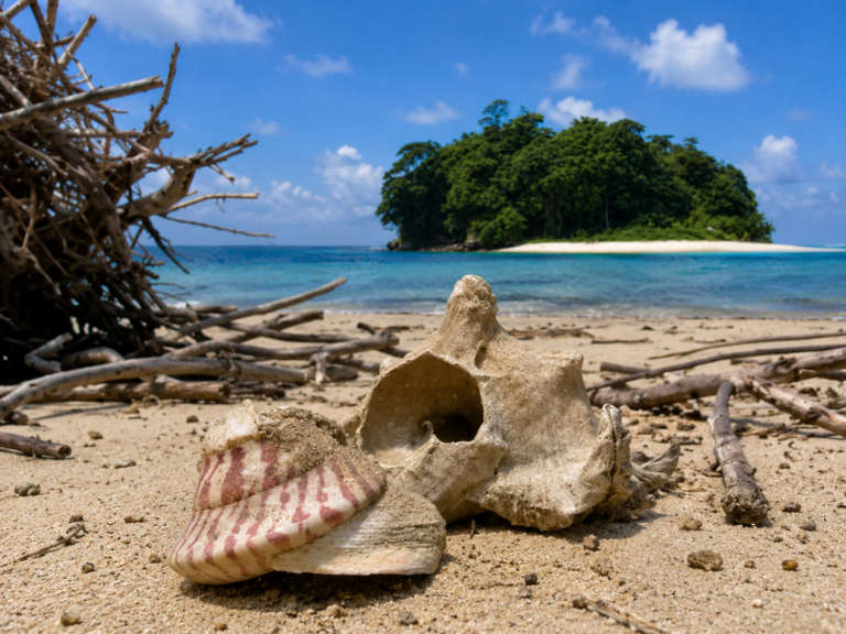 Red Skin Island