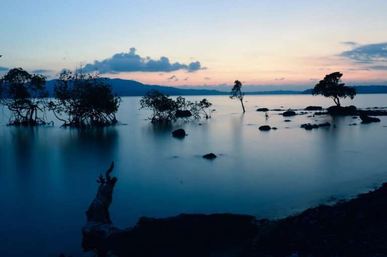 Chidiya Tapu & Ross Island (near Port Blair)