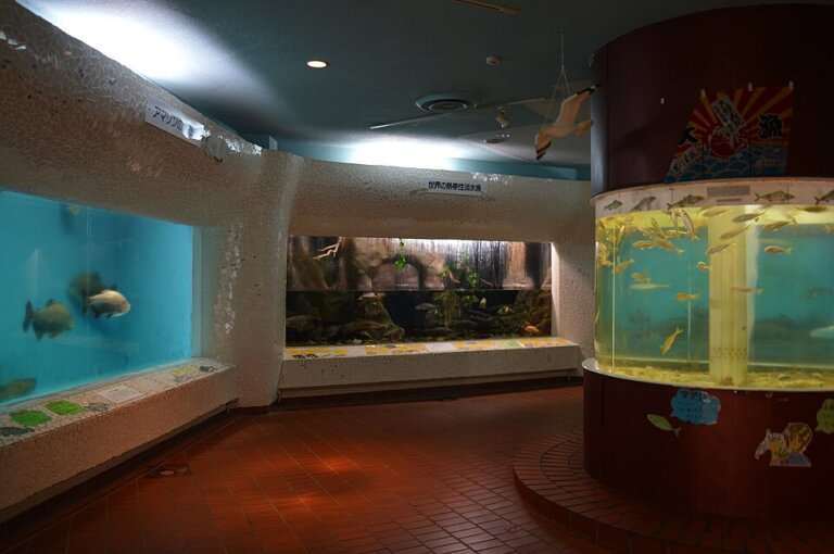 Marina Park aquarium