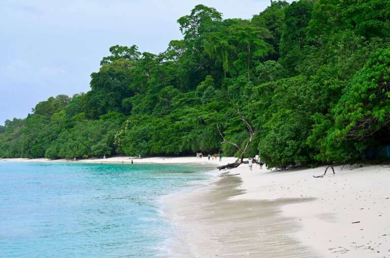 Cinque Island