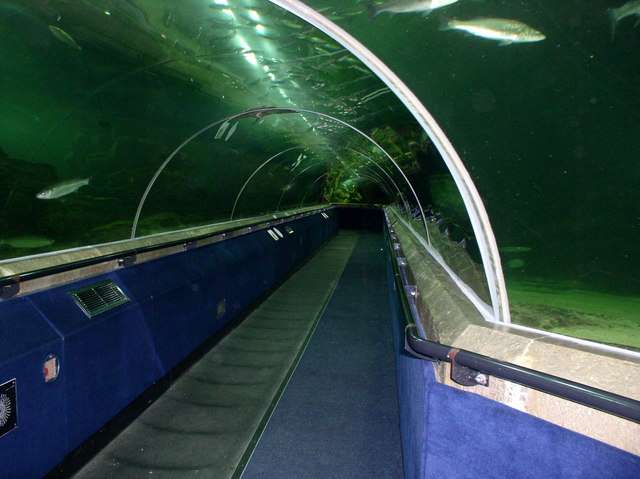 Ocean Walk
