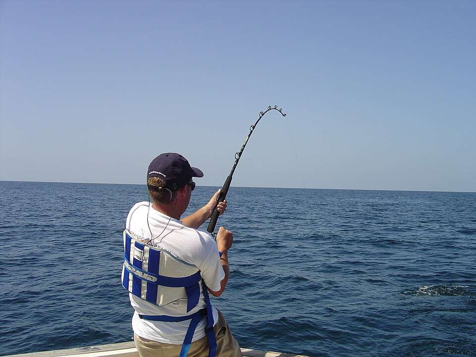 Sport & Game Fishing