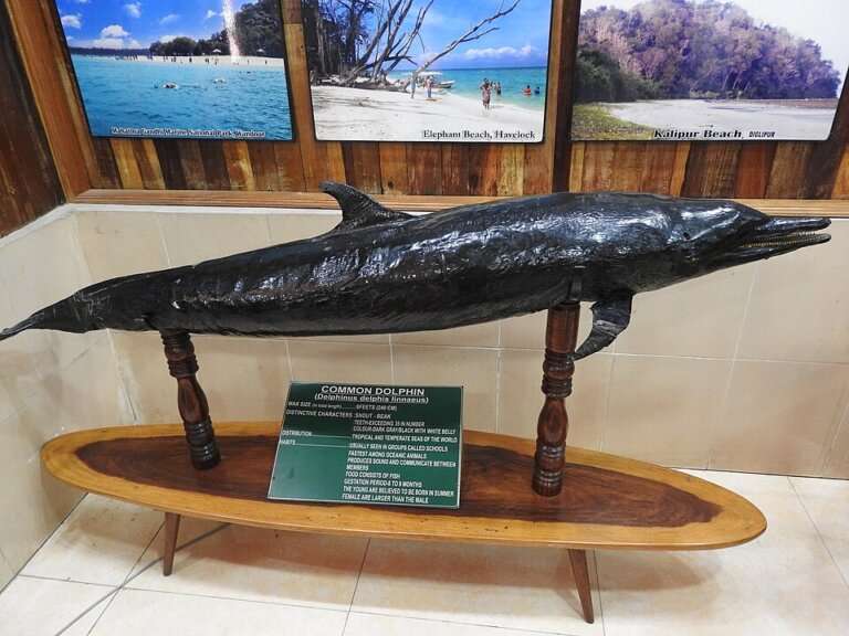 Wandoor & Mahatma Gandhi Marine National Park