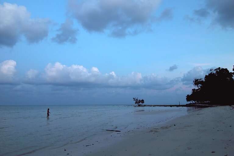 Elephant Beach