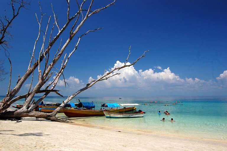 Elephant Beach - Water Sports Hub