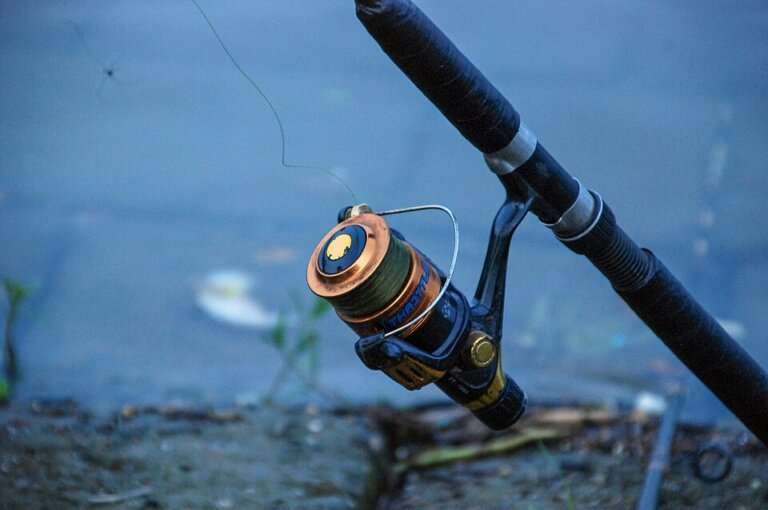Sport & Game Fishing - half-day on the water