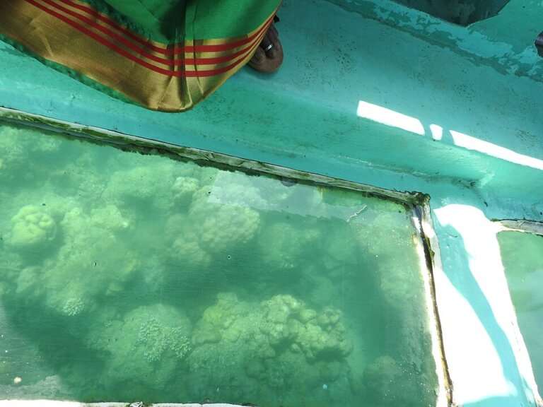 Glass Bottom Boating