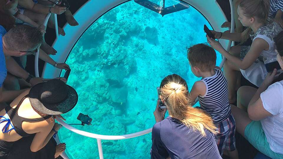 Glass Bottom Boating