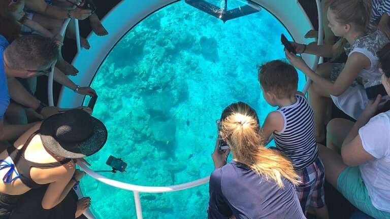 Glass-Bottom Boat Ride
