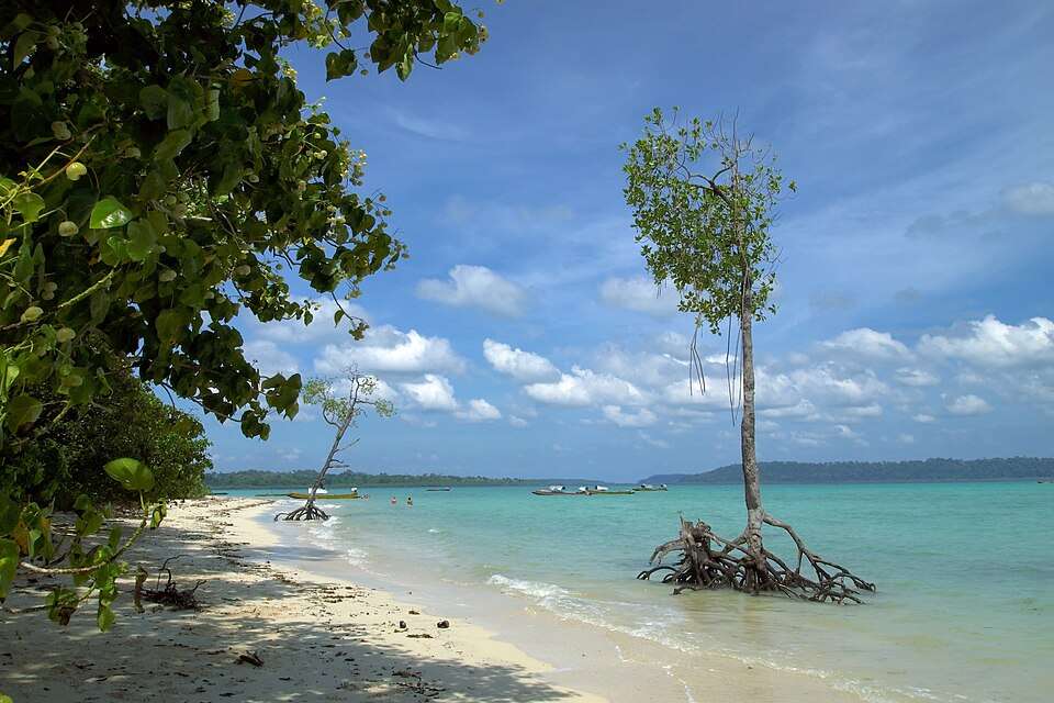 Havelock