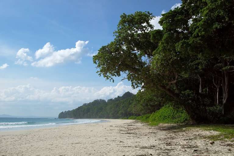 Radhanagar Beach