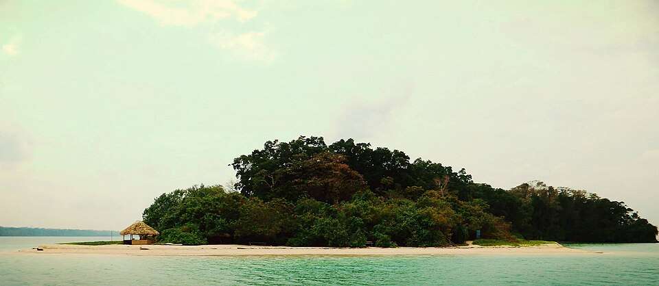 Jolly Buoy Island - Coral & Glass-Bottom Boats