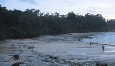 Best Places to Visit in Andaman
