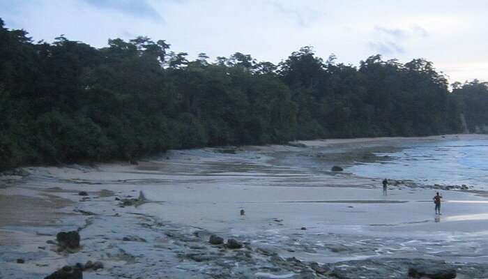 Best Places to Visit in Andaman