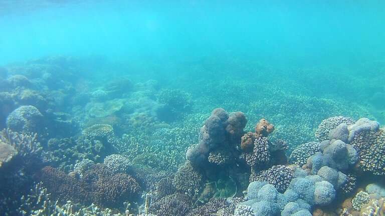North Bay Island (Coral Island)