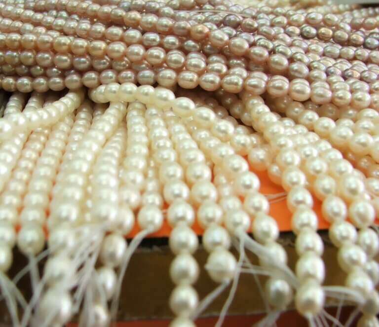 andaman Pearls