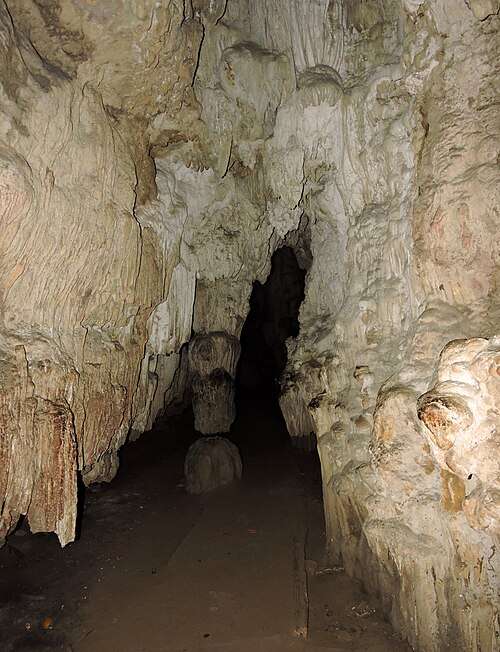mangrove creek and cave walk