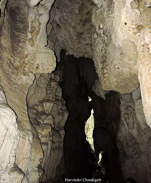 mangrove creek and cave walk