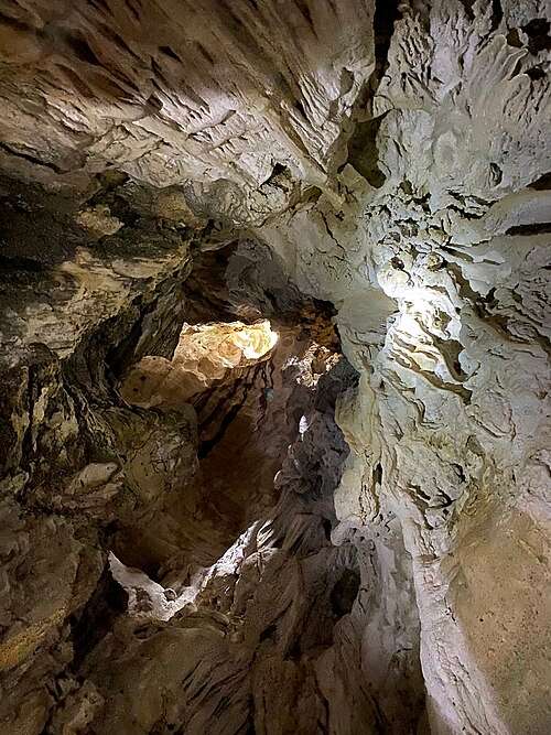 mangrove creek and cave walk
