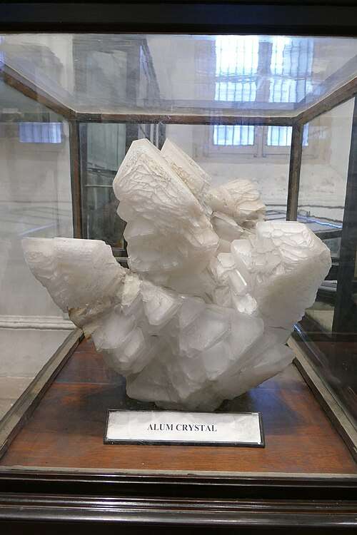 Anthropological Museum - indoor, and open whatever the weather