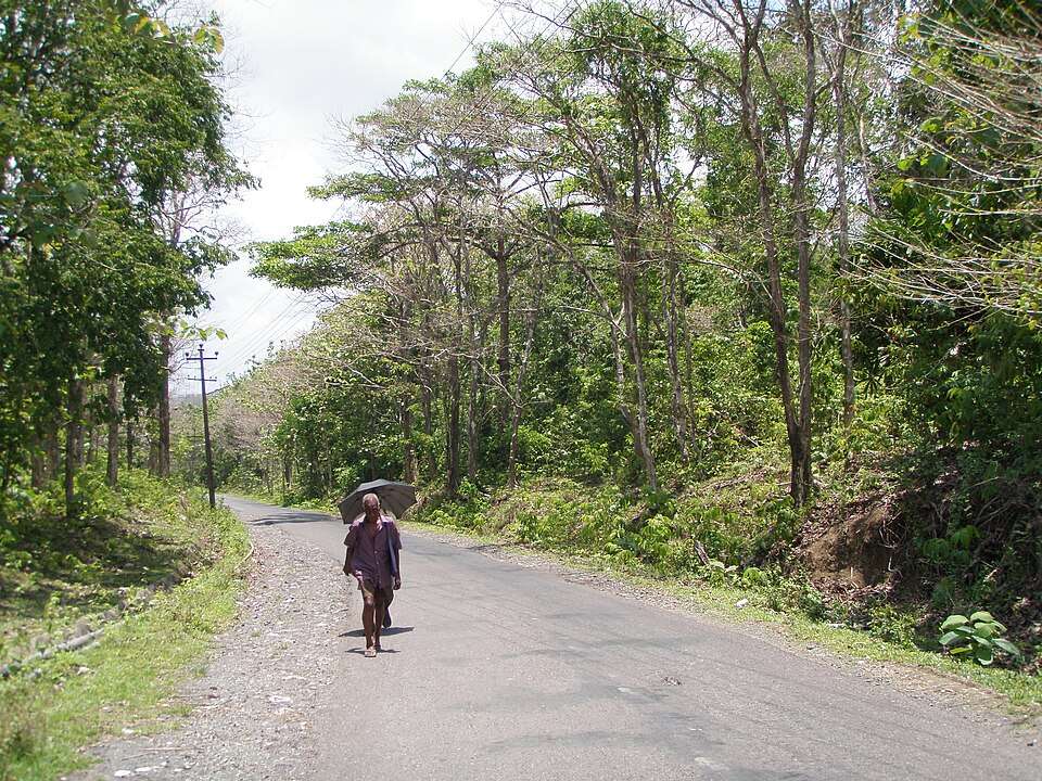 North Andaman Diglipur.