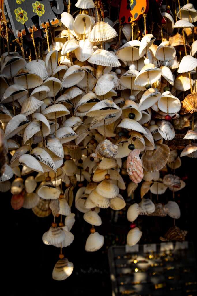 Queen Sea Shell Craft