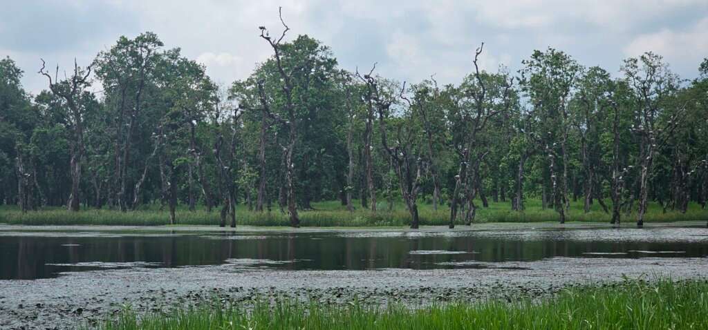 Rani Jhansi Marine National Park.