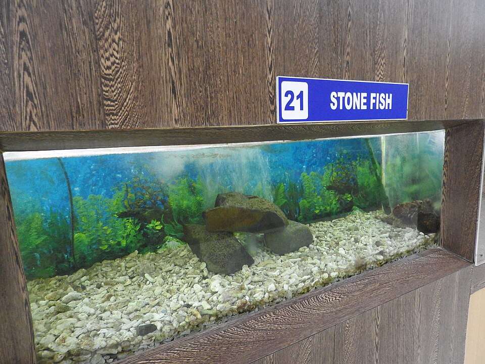 Samudrika Marine Museum