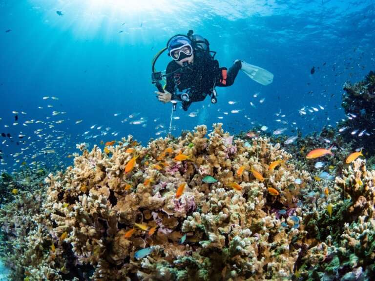 Scuba Diving