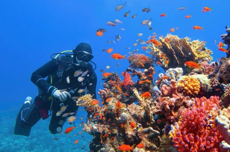 scuba diving in andaman