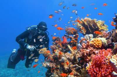 Scuba diving in Andaman
