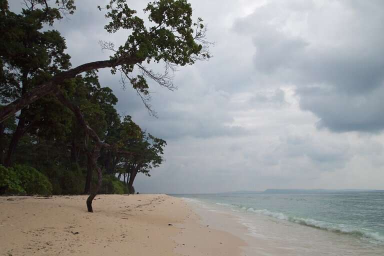Neil Island (Shaheed Dweep)