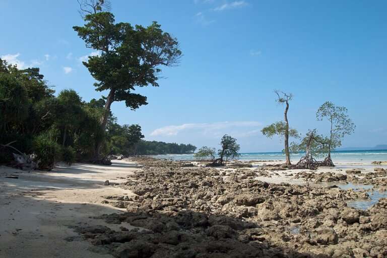Neil Island (Shaheed Dweep)