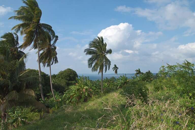 Neil Island (Shaheed Dweep)Neil Island (Shaheed Dweep)