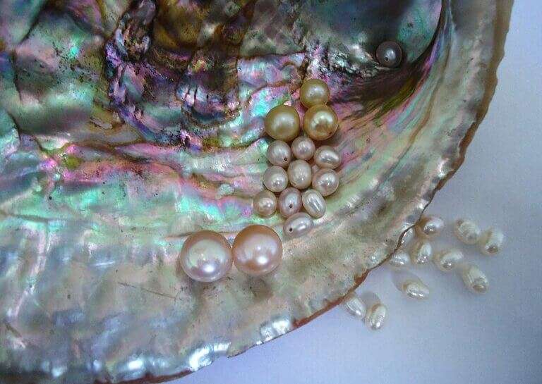 Shell & Pearl Jewellery