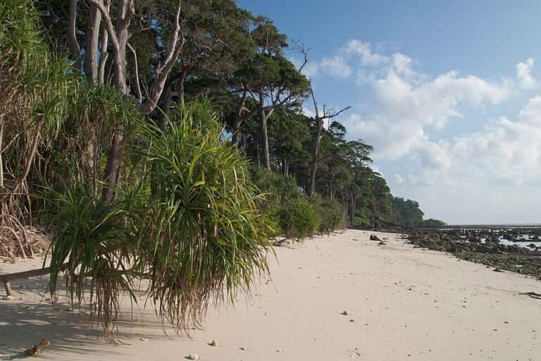 Sitapur Beach in Andaman