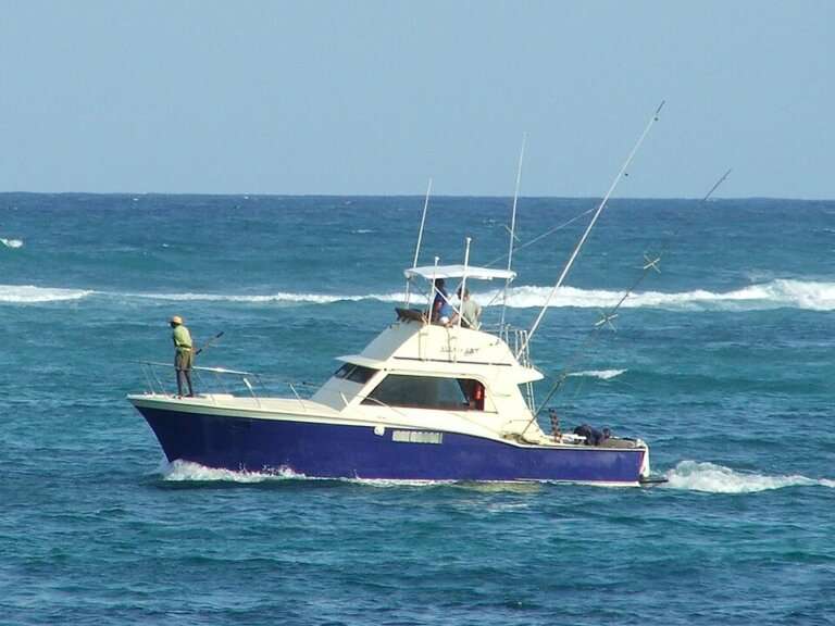 Sport & Game Fishing