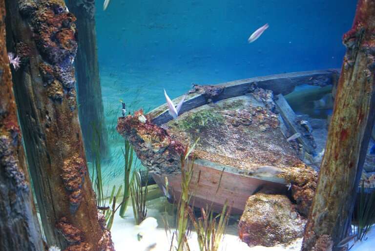 Marina Park aquarium