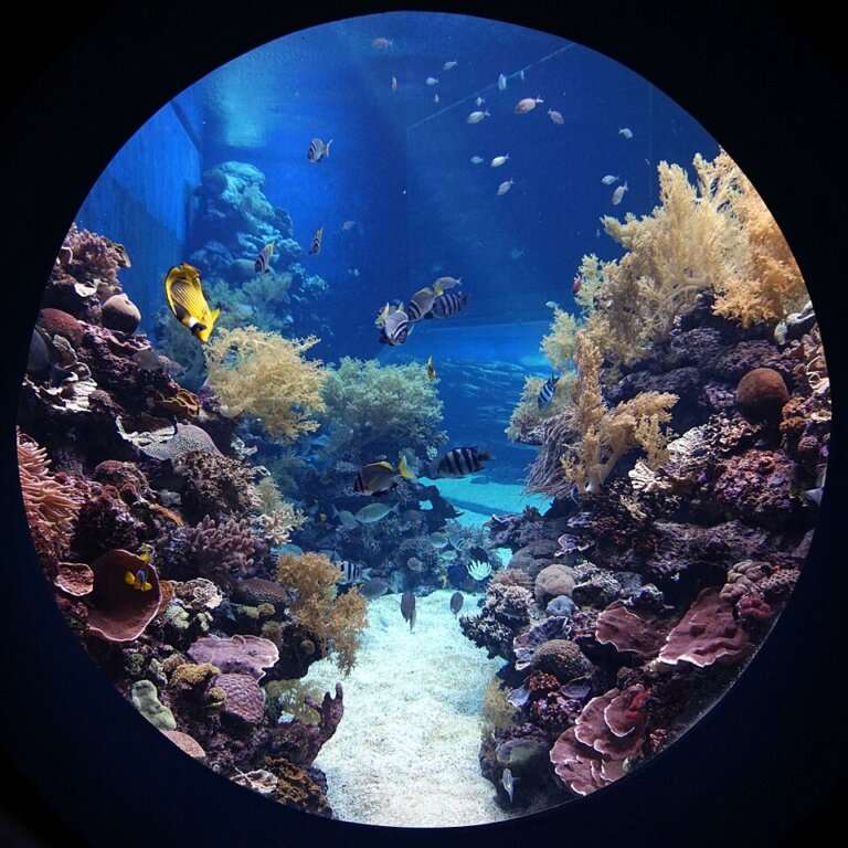 Marina Park aquarium