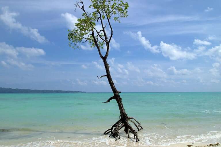 Vijaynagar-Beach