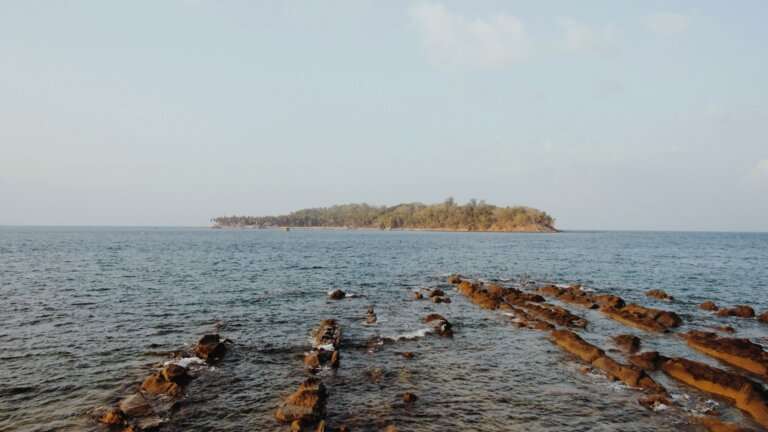 Viper Island.