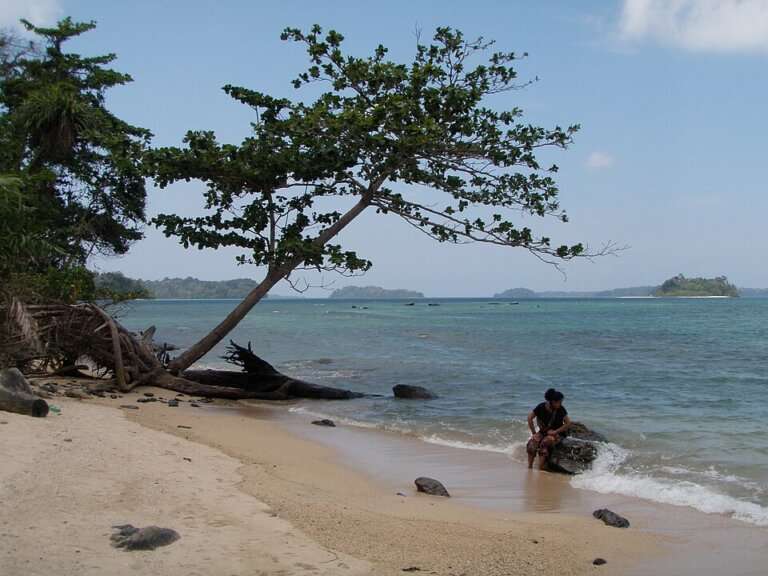 Wandoor Beach