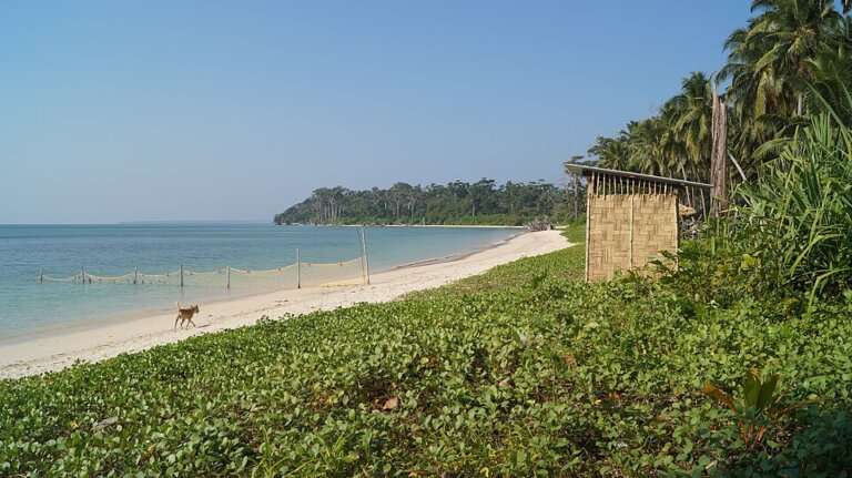 Wandoor Beach