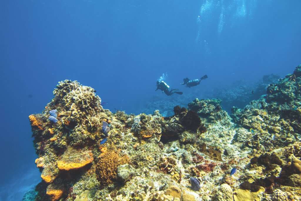 bala reef scuba diving