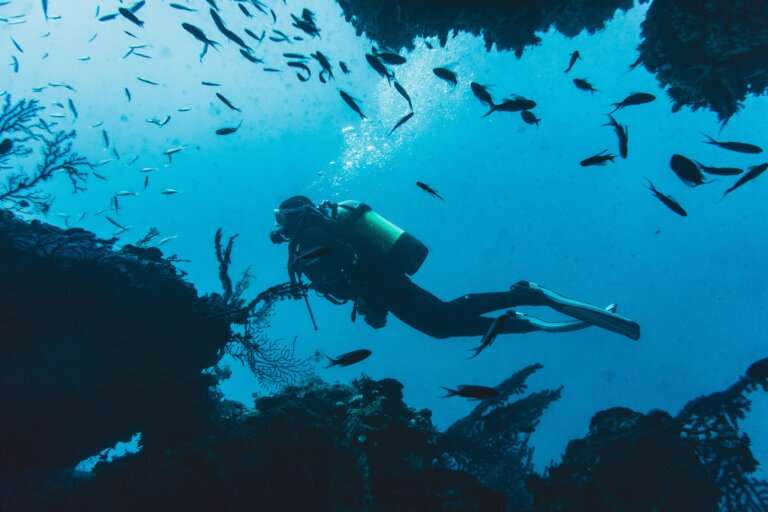 bala reef scuba diving